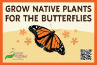 Butterfly sign – 18″x12″